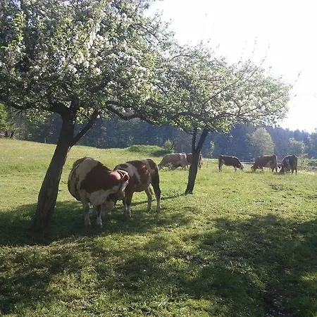 Haus Schrei Appartement Grundlsee Buitenkant foto