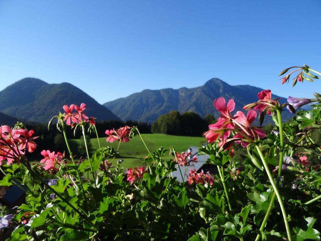 Apartment Haus Schrei Grundlsee
